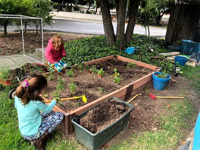 ABC's of Gardening with Kids